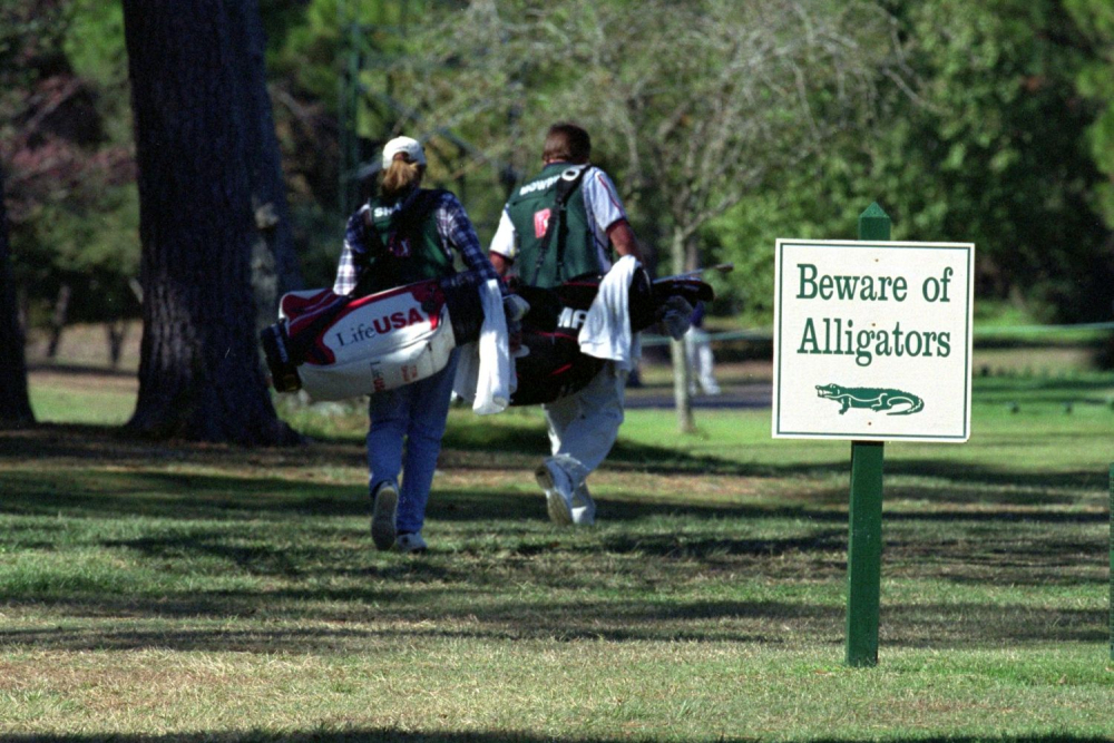 Pozor na golfu na aligátory! (Foto: Getty Images)