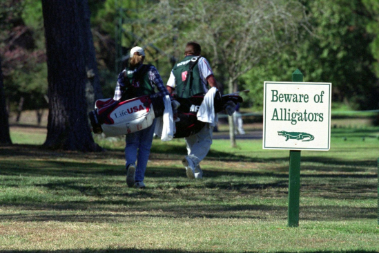 Pozor na golfu na aligátory! (Foto: Getty Images)