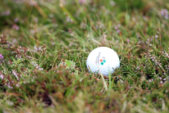 Golfový míček v roughu (Foto: Getty Images)