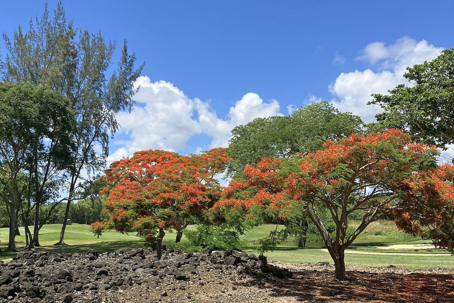 The Legend (foto: archiv autora).