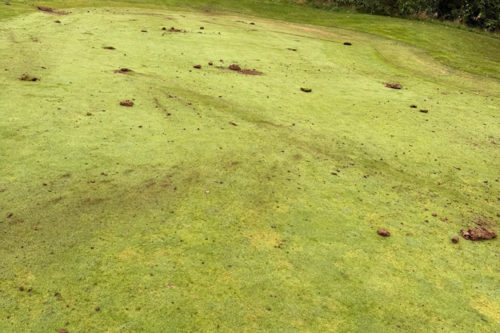 Poničené hřiště od vandalů. (foto: Facebook/Bondhay Golf Club)