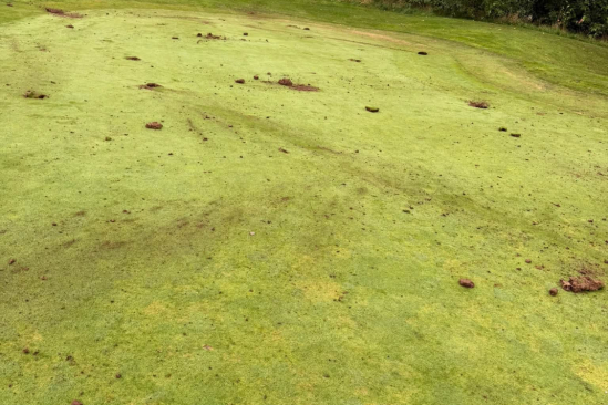 Poničené hřiště od vandalů. (foto: Facebook/Bondhay Golf Club)