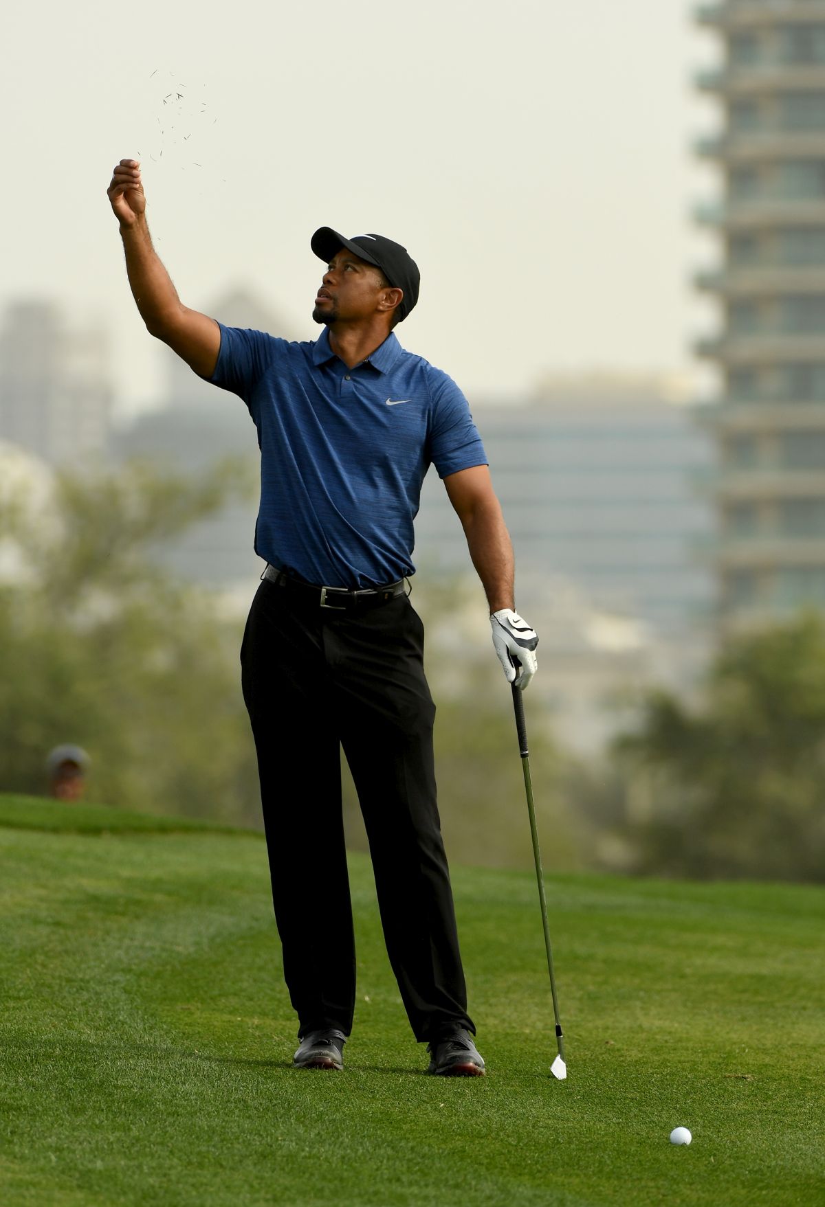 Tiger Woods