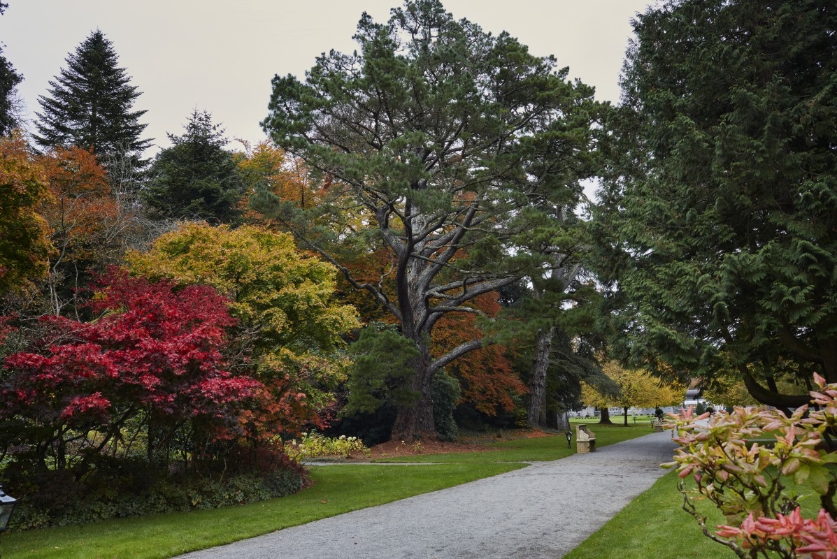 Ashford Castle