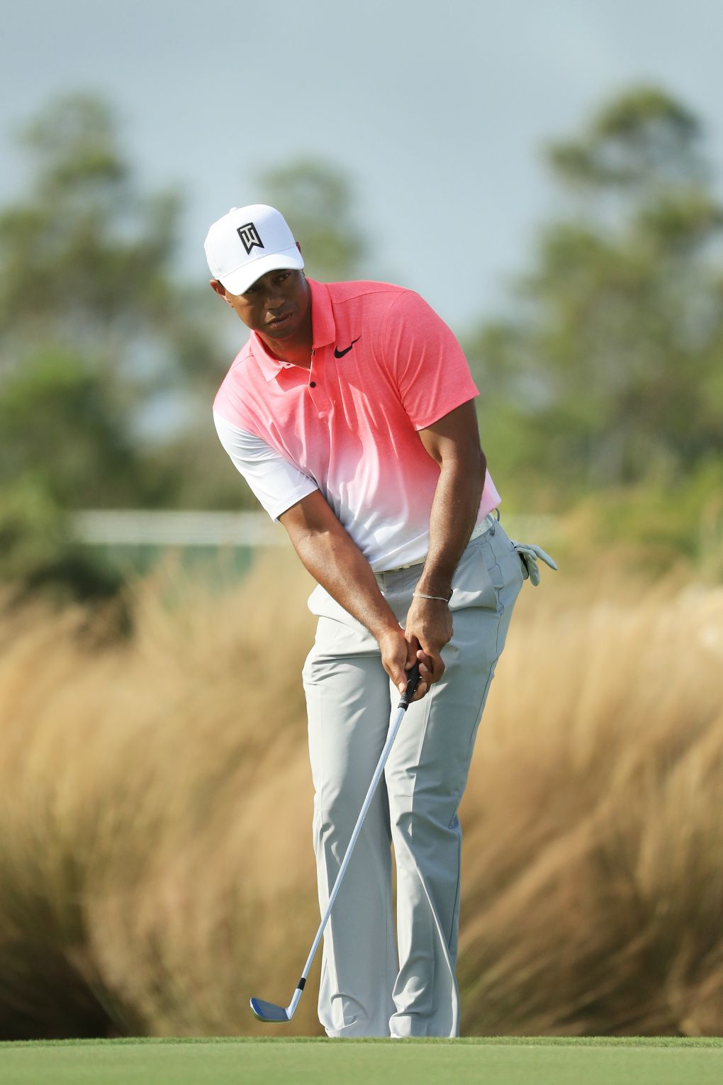 Tiger Woods