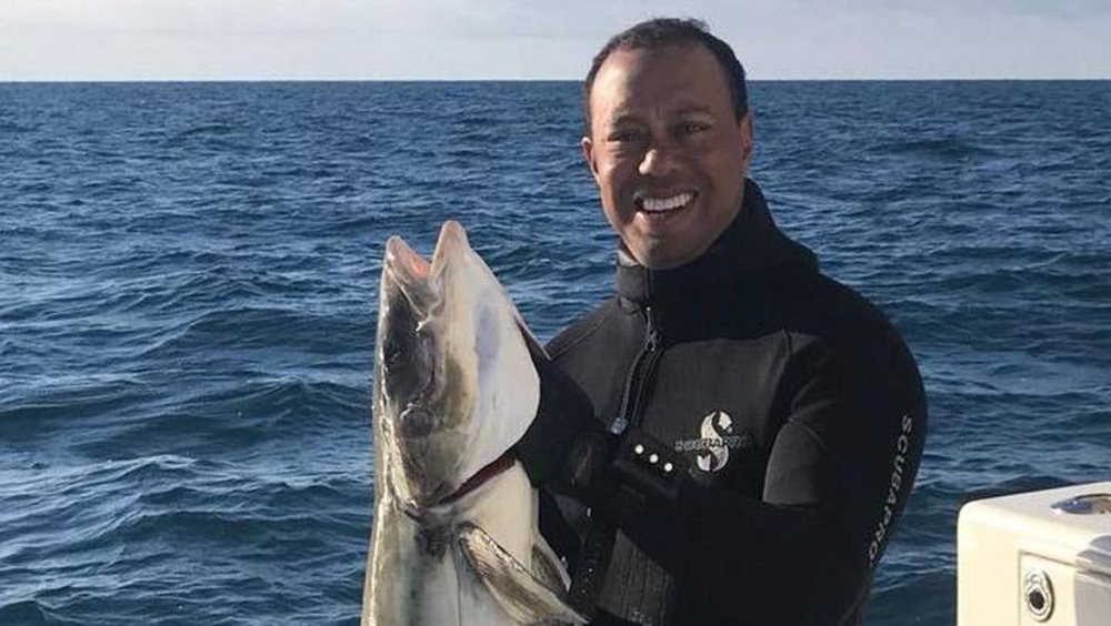 Tiger Woods na rybách