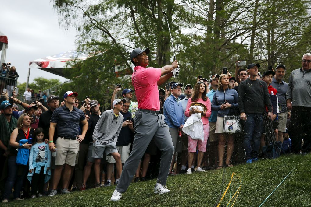 Tiger Woods