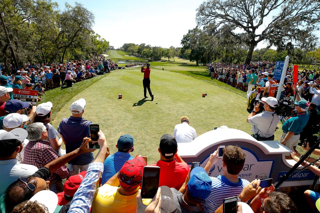 Tiger Woods