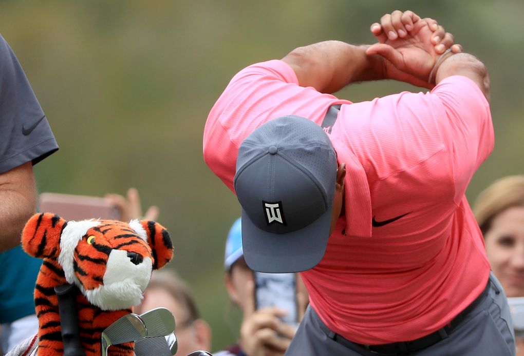 Tiger Woods