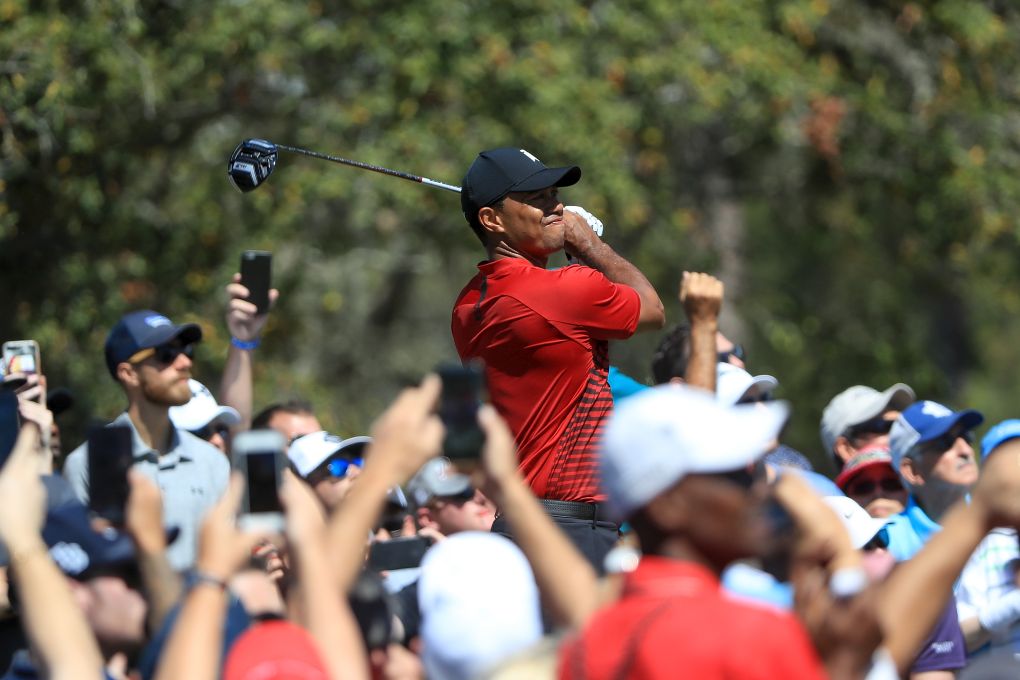 Tiger Woods