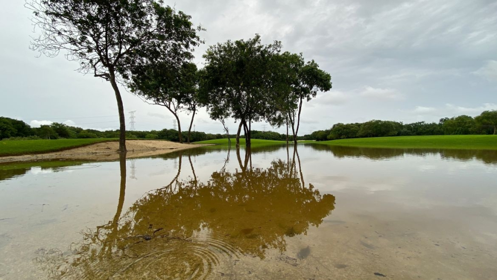 Mayakoba Golf Classic