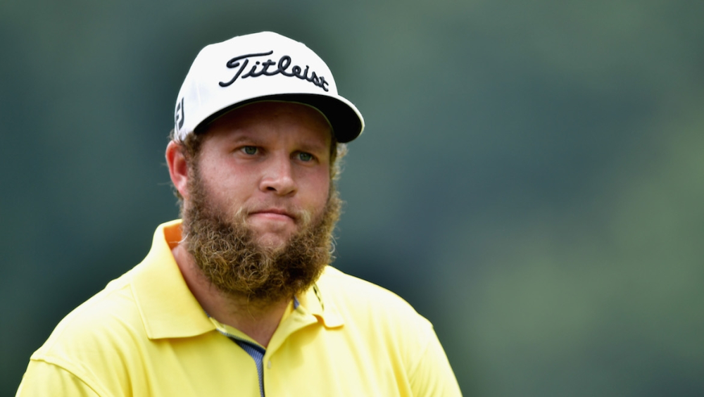 Andrew Beef Johnston