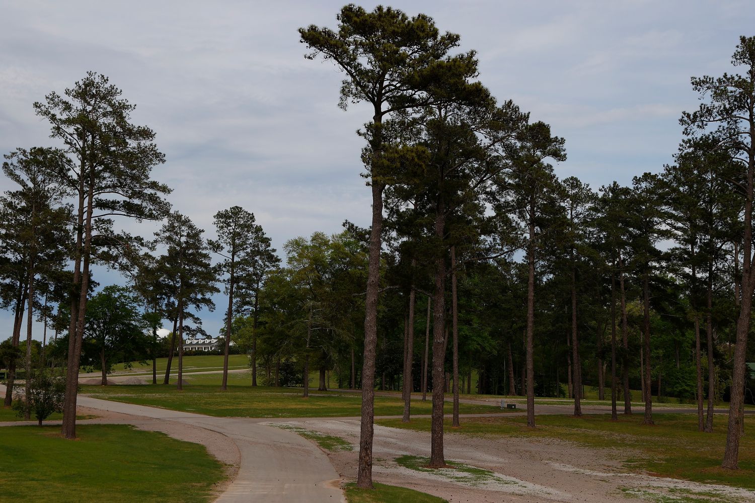Augusta National