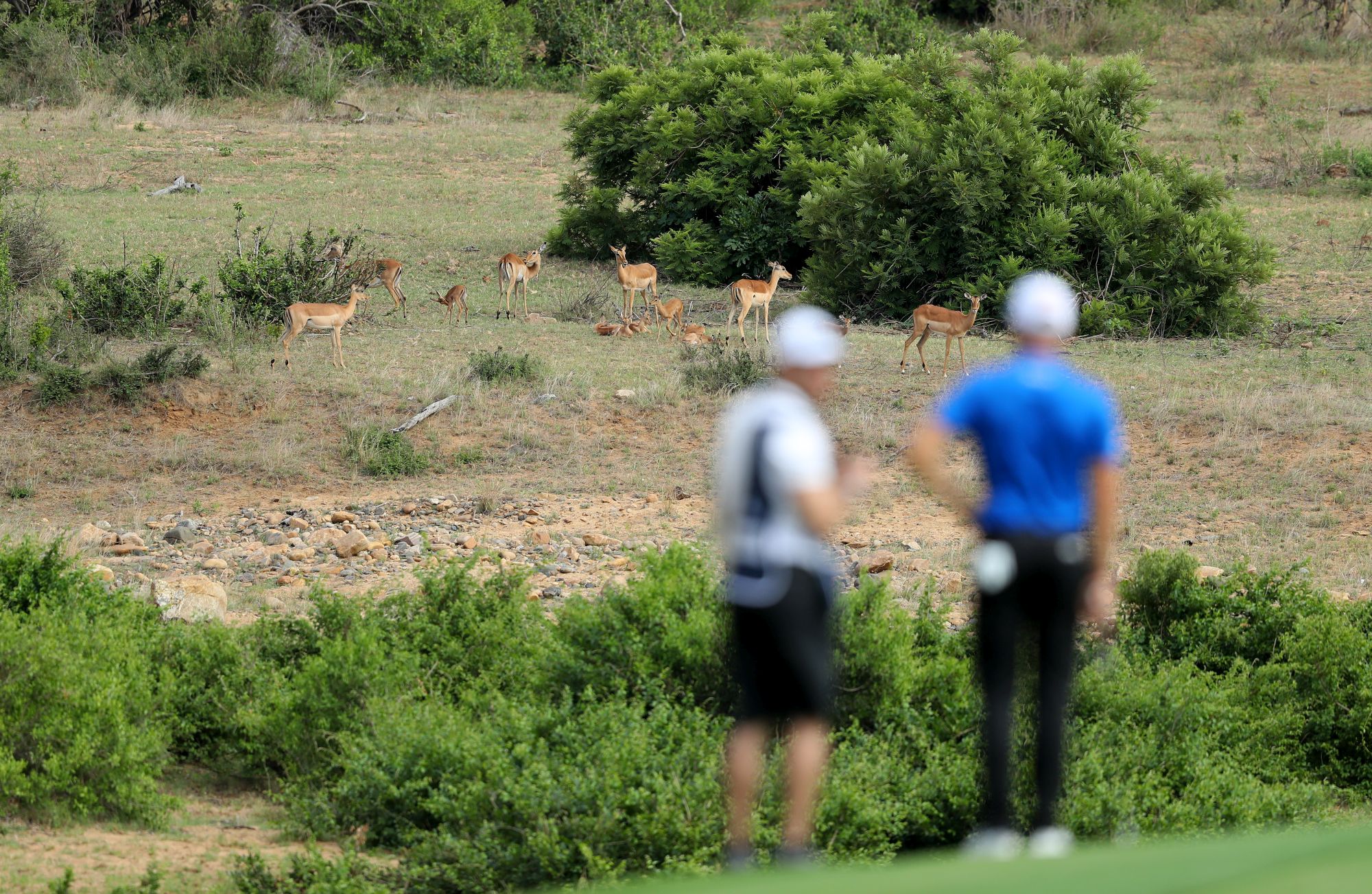 Leopard Creek Country Club