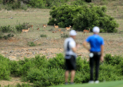 Leopard Creek Country Club