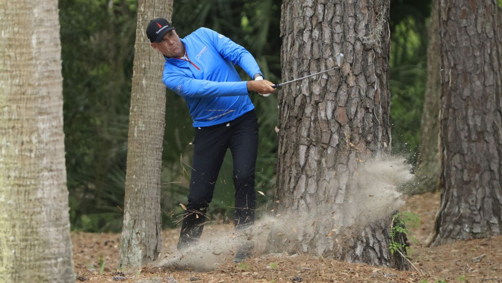 Stewart Cink