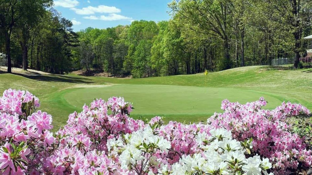 Pinetree Country Club Pinetree Country Club