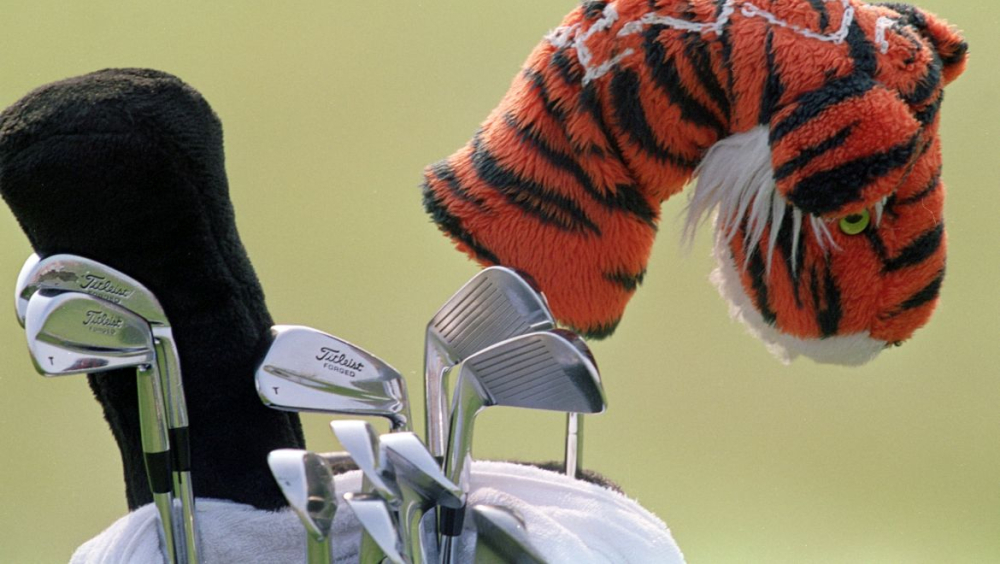 Hole Tigera Woodse z roku 2000
